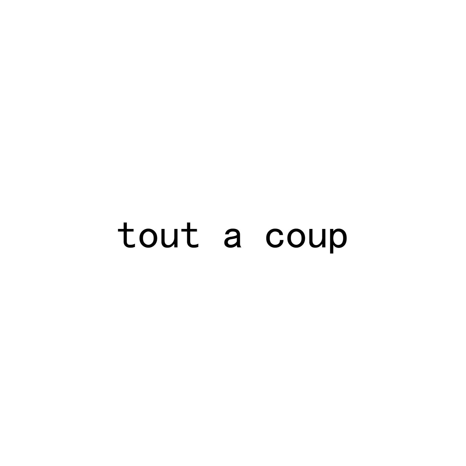 TOUT A COUP商标转让