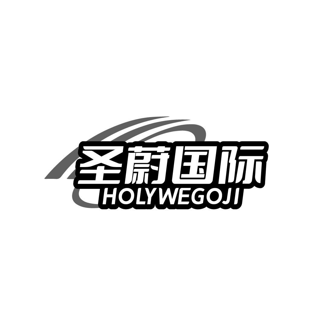 圣蔚国际 HOLYWEGOJI商标转让