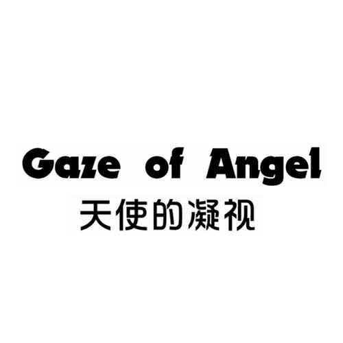 天使的凝视 GAZE OF ANGEL商标转让