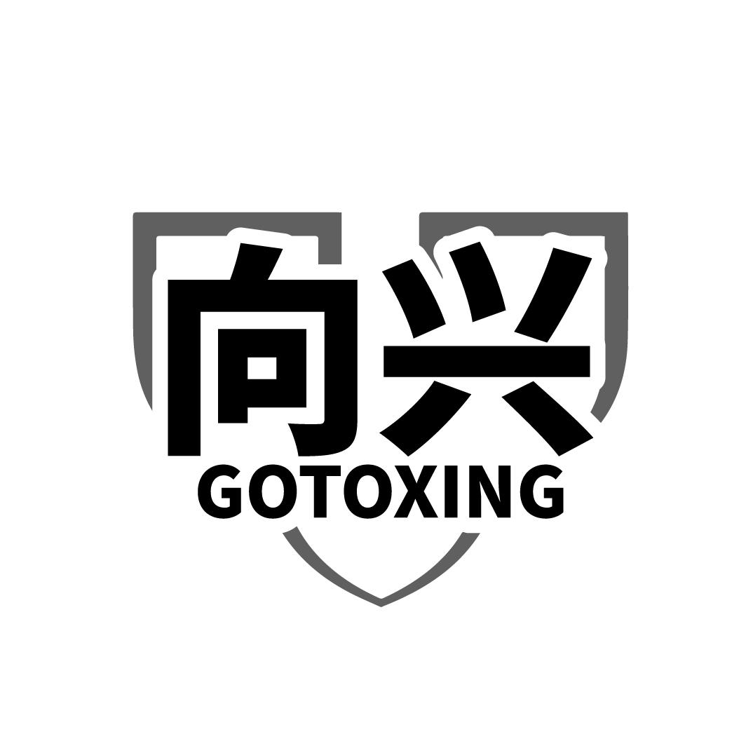 向兴 GOTOXING商标转让