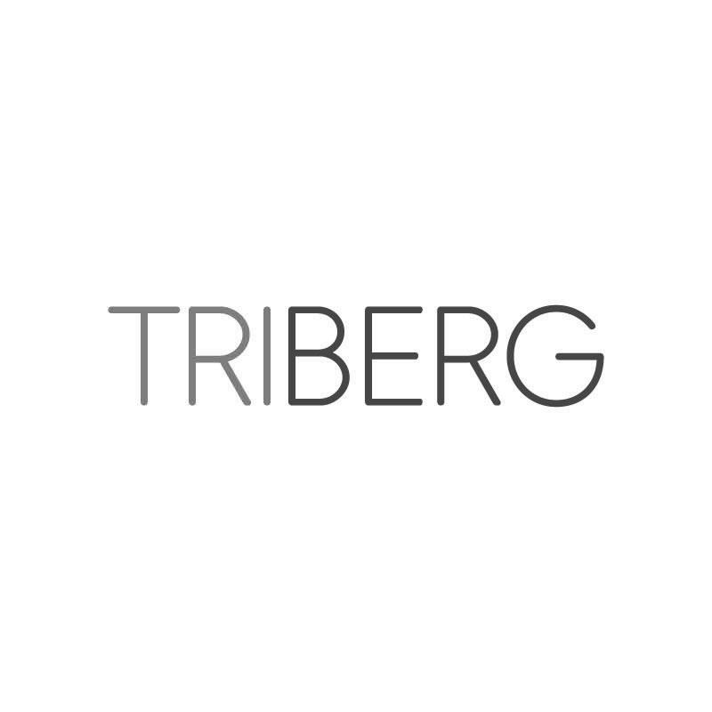 TRIBERG商标转让