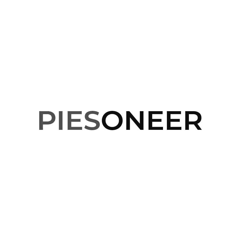 PIESONEER商标转让