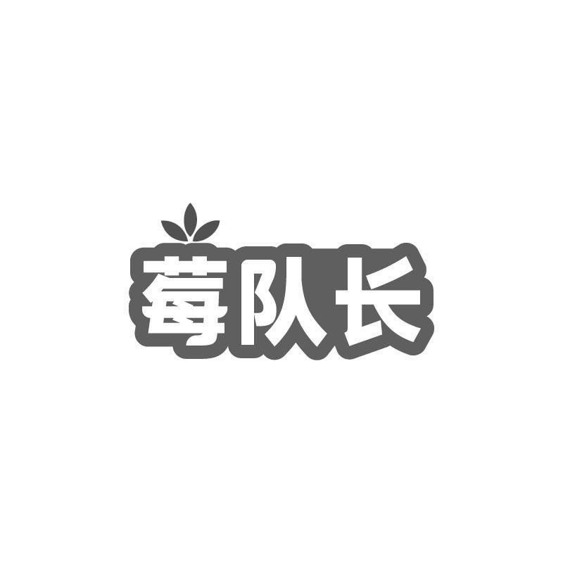 莓队长商标转让