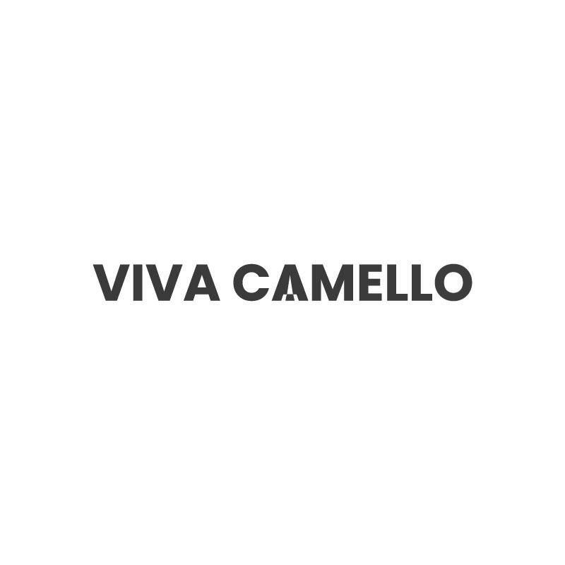 VIVA CAMELLO商标转让