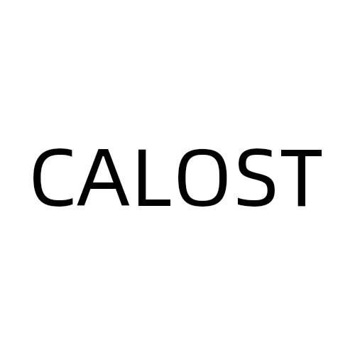 CALOST商标转让