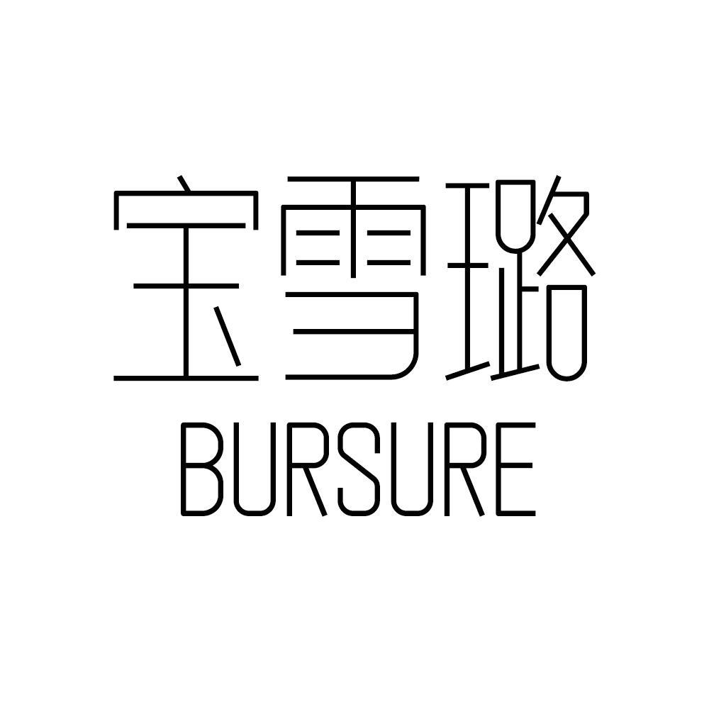 宝雪璐 BURSURE商标转让