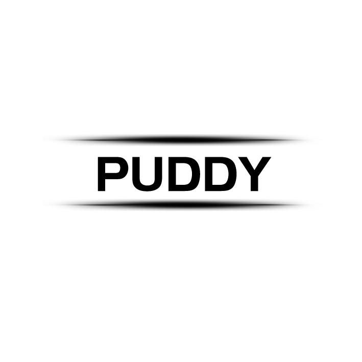 PUDDY商标转让