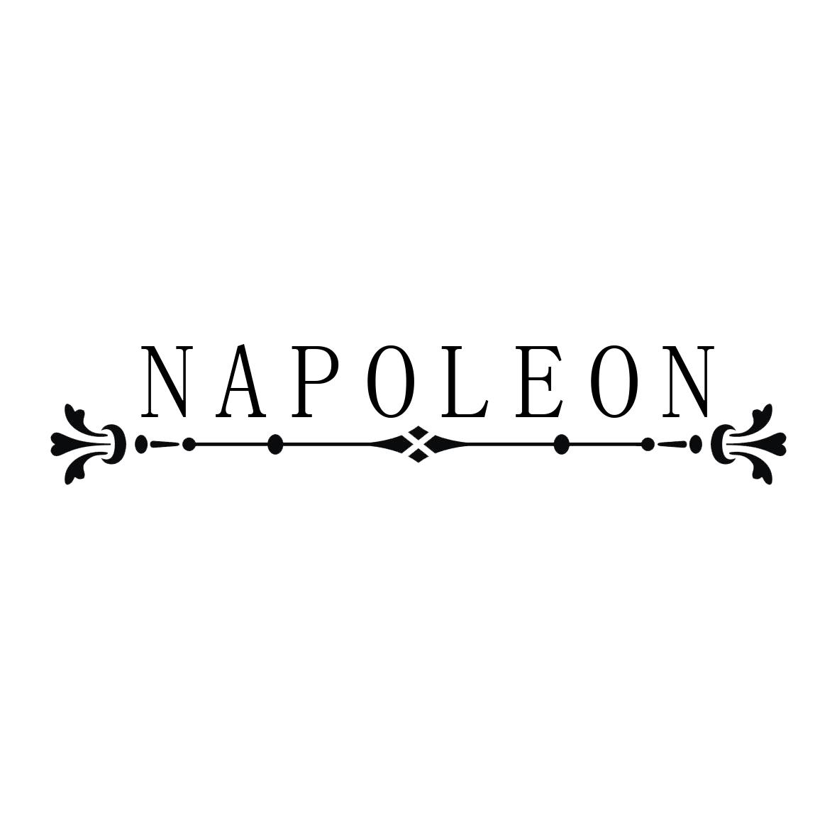 NAPOLEON商标转让