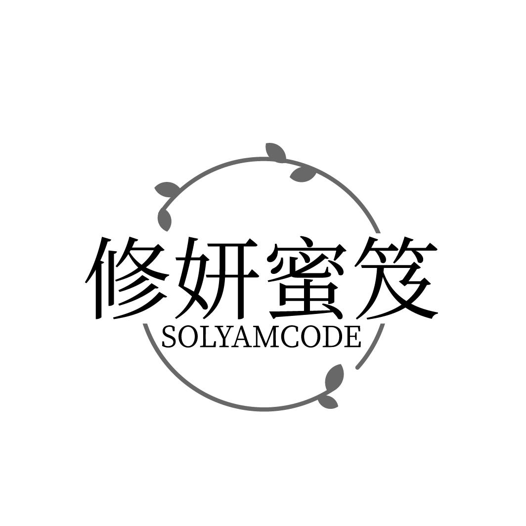 修妍蜜笈 SOLYAMCODE商标转让