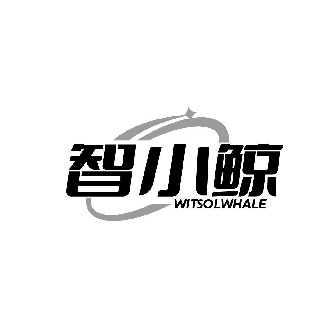 智小鲸 WITSOLWHALE商标转让