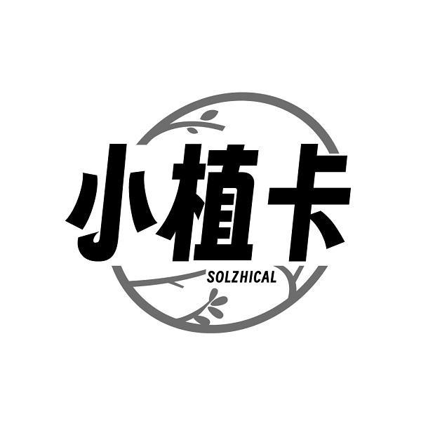 小植卡 SOLZHICAL商标转让