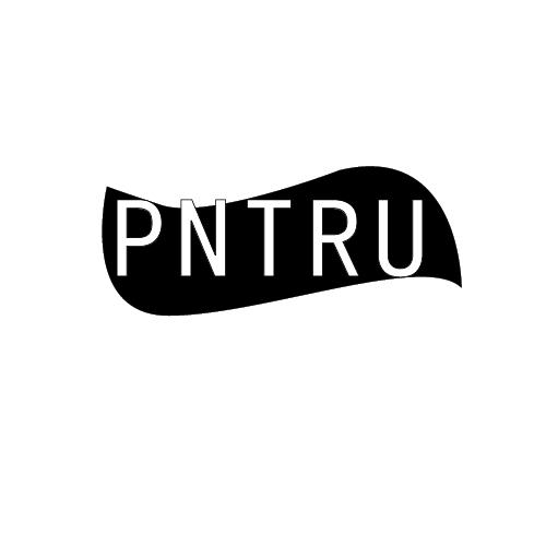 PNTRU商标转让