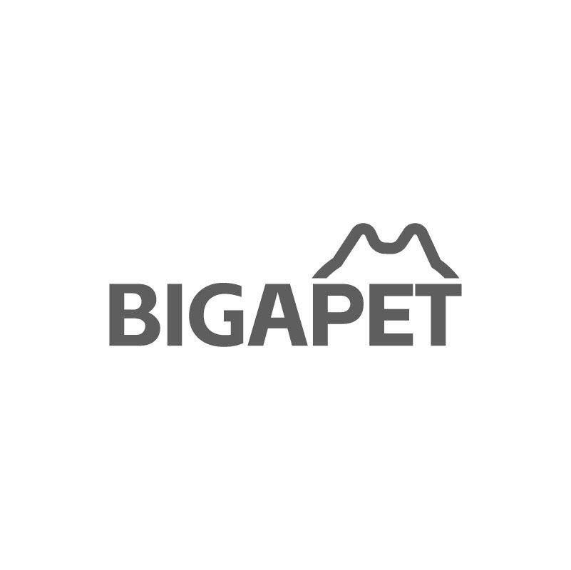 BIGAPET商标转让