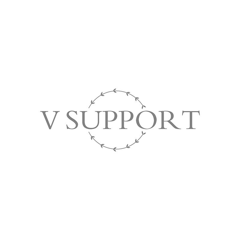 V SUPPORT商标转让