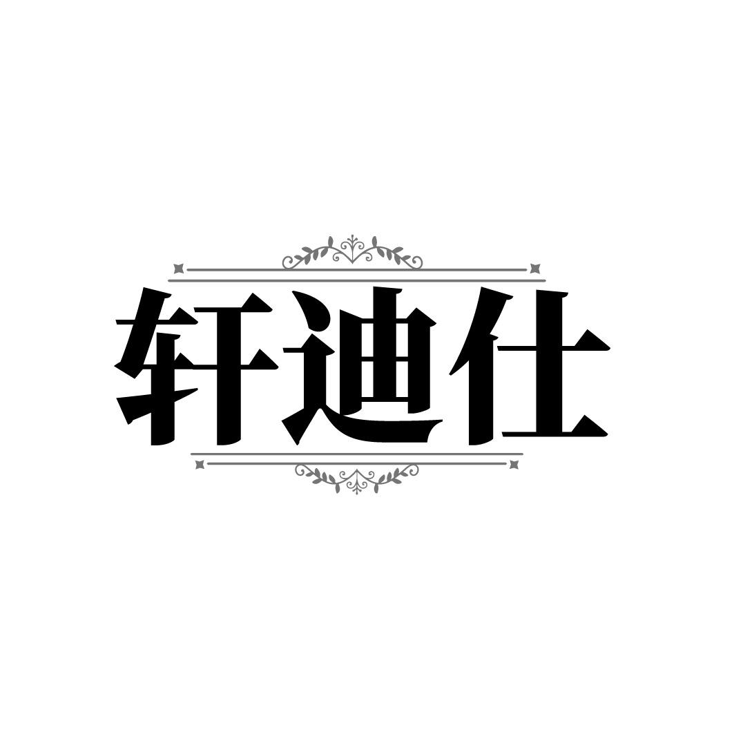 轩迪仕商标转让