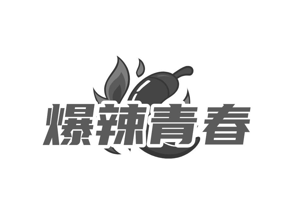 爆辣青春商标转让