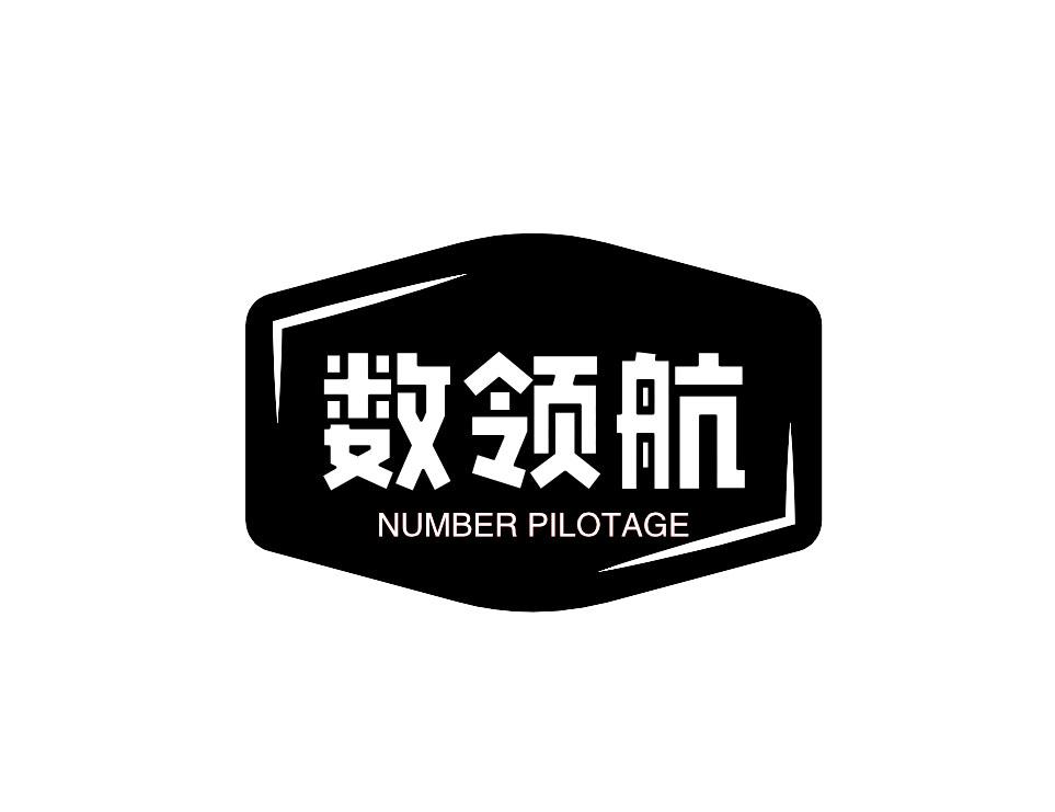 数领航  NUMBER PILOTAGE商标转让