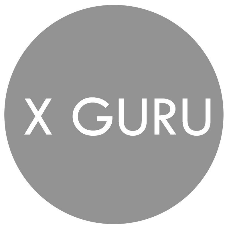 X GURU商标转让