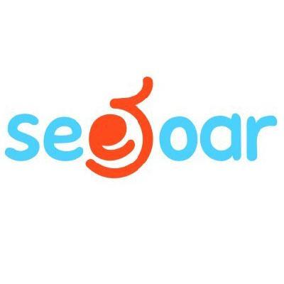 SEESOAR商标转让