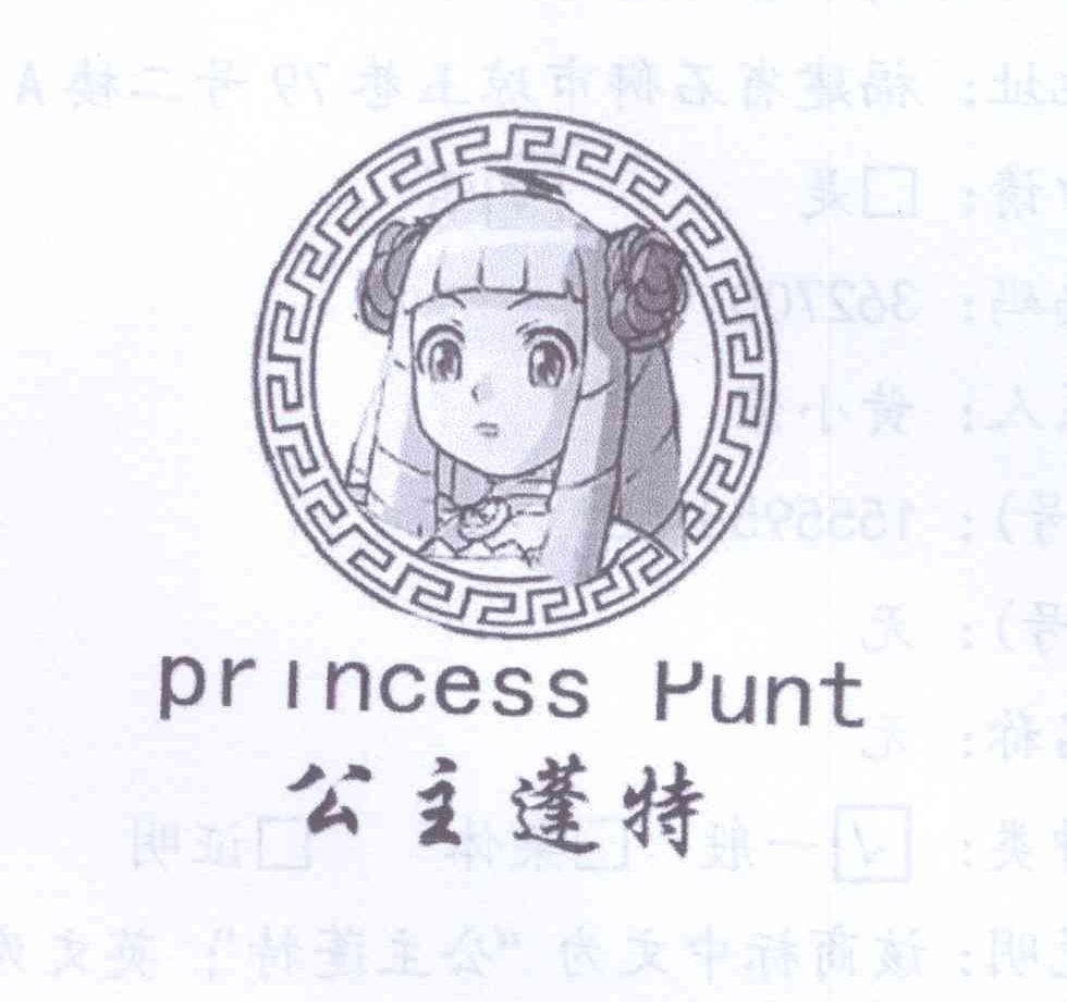 公主蓬特 PRINCESS PUNT商标转让