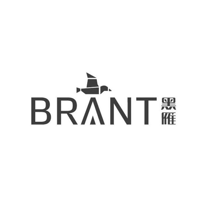 黑雁 BRANT商标转让