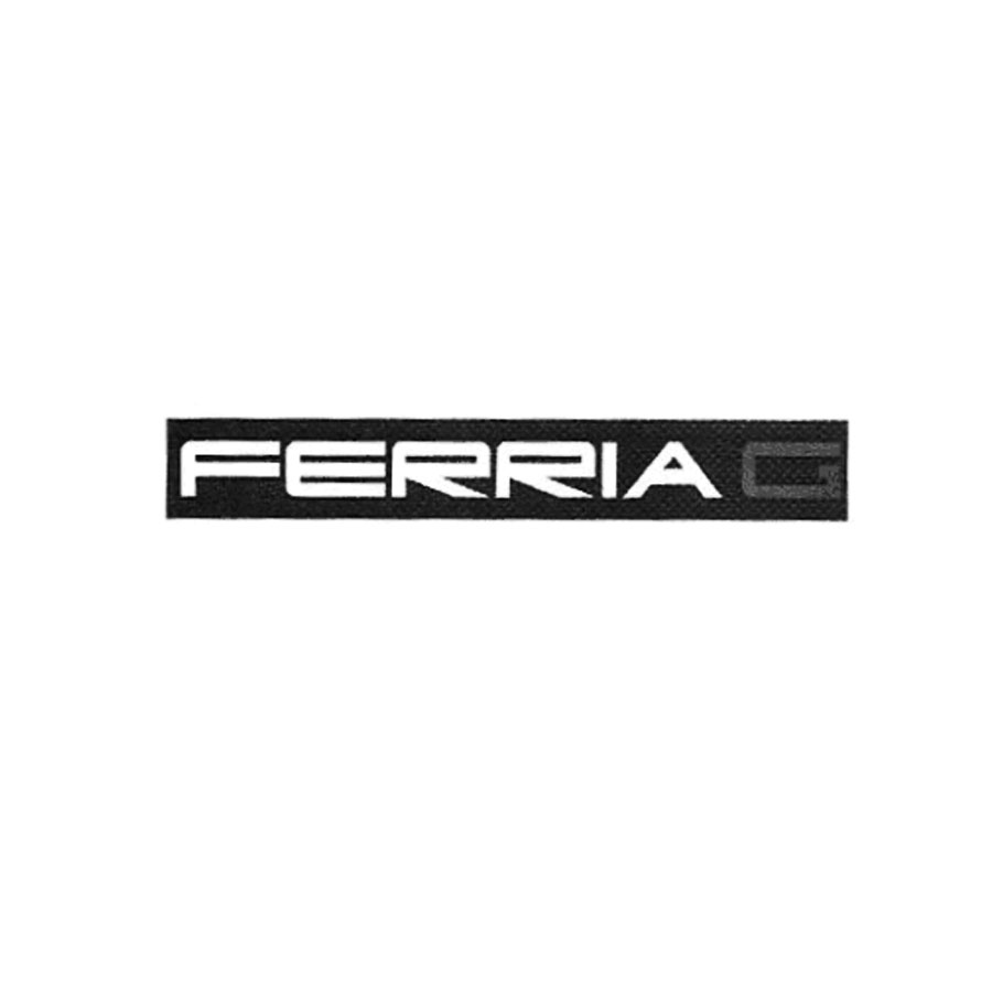 FERRIA G商标转让