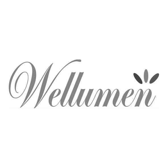 WELLUMEN商标转让