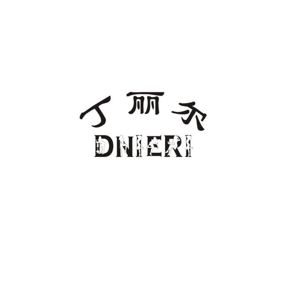 丁丽尔 DNIERI商标转让