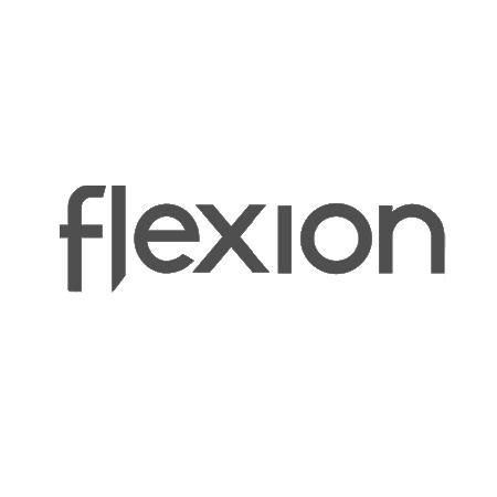 FLEXION商标转让