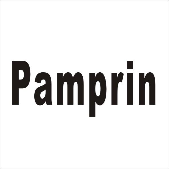 PAMPRIN商标转让