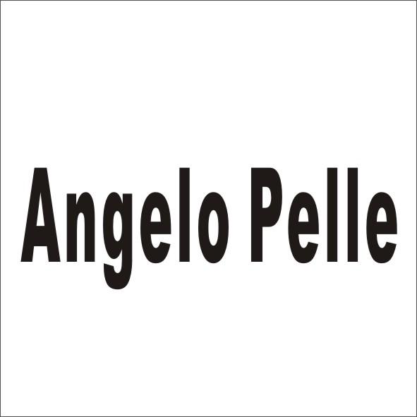 ANGELO PELLE商标转让