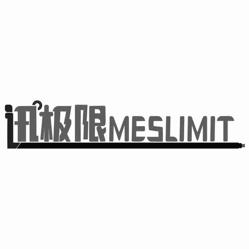 讯极限MESLIMIT商标转让