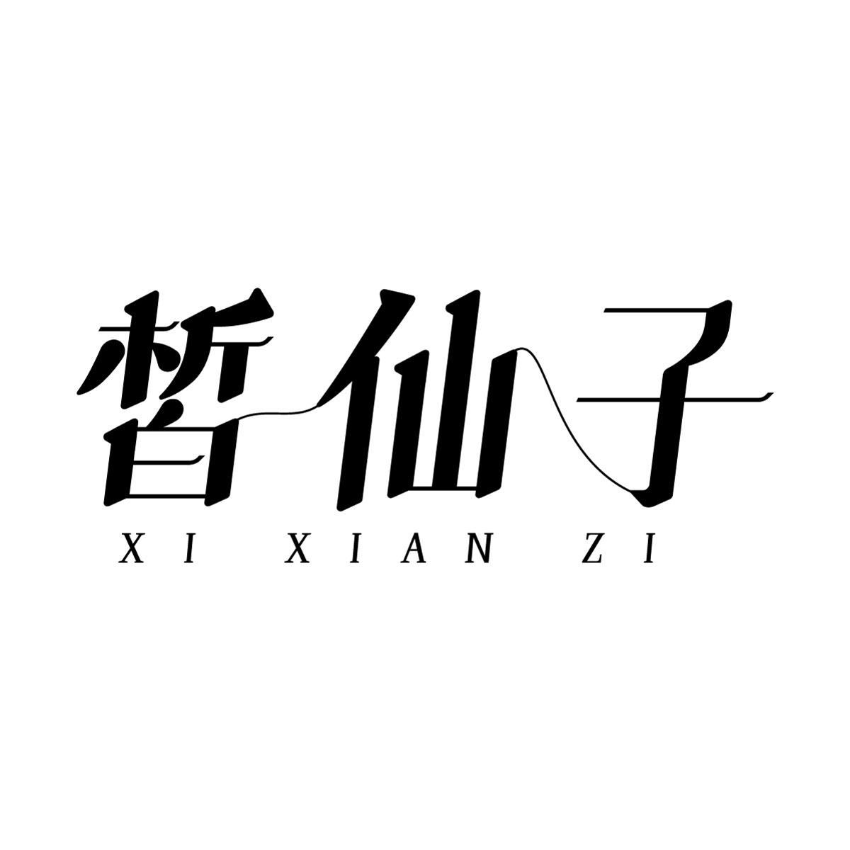 皙仙子商标转让