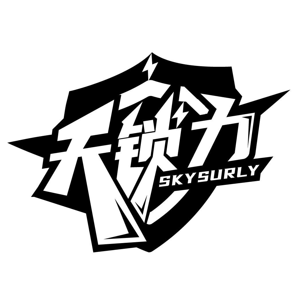 天锁力 SKYSURLY商标转让