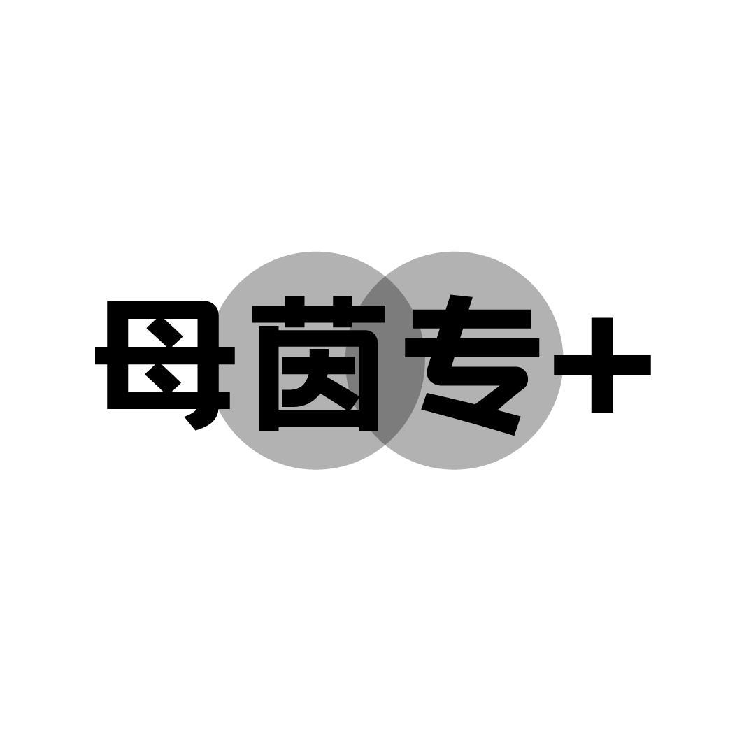 母茵专+商标转让
