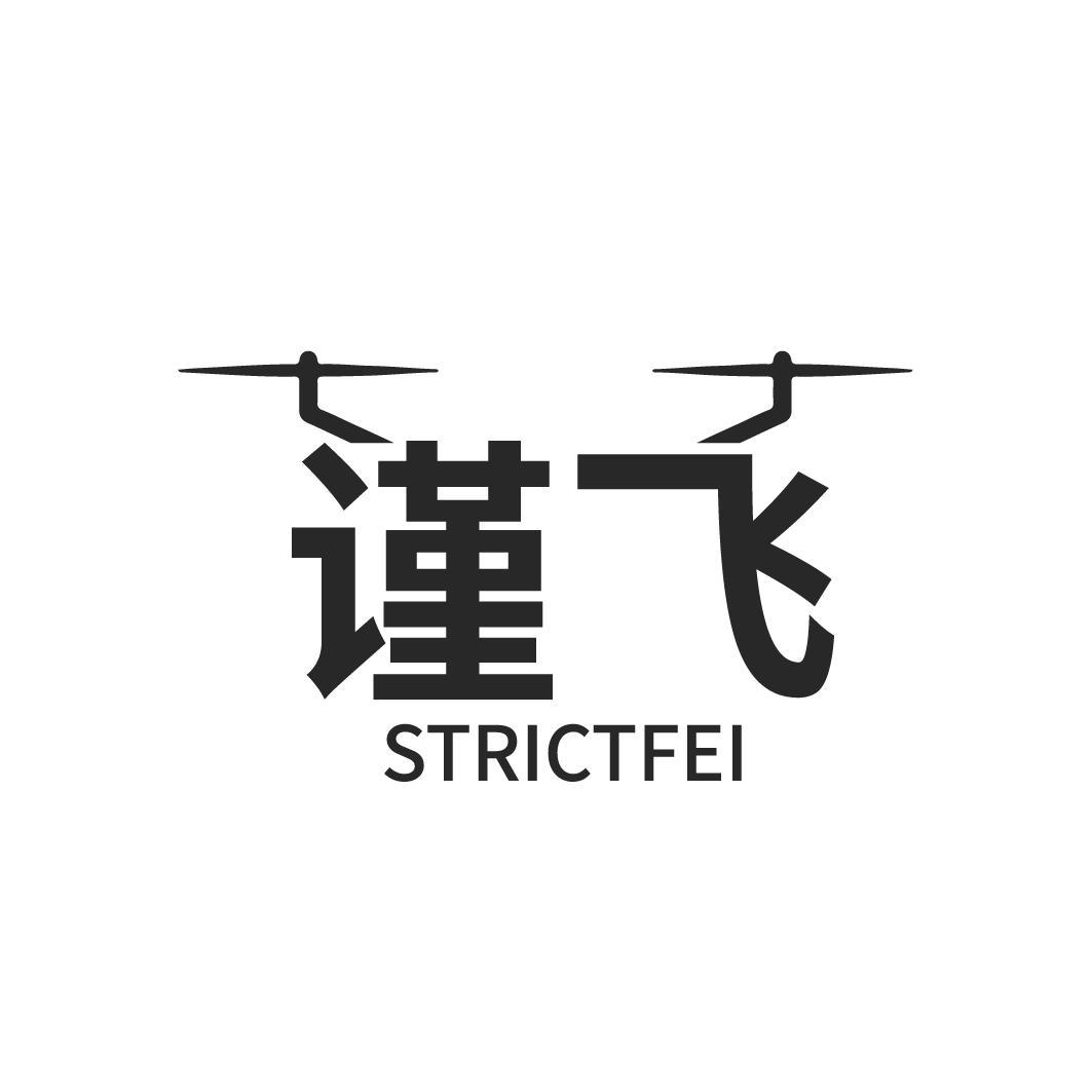谨飞 STRICTFEI商标转让