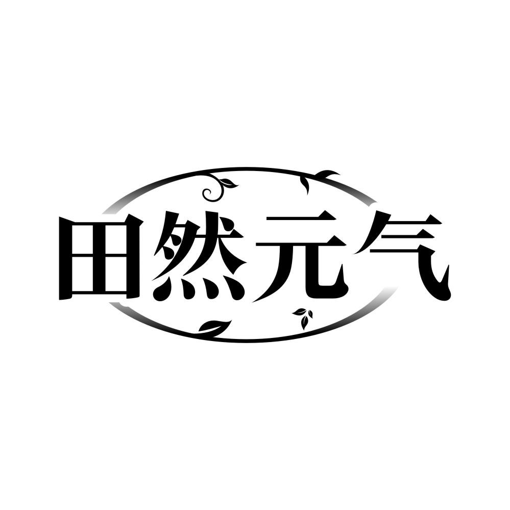 田然元气商标转让