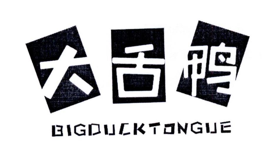 大舌鸭 BIGDUCKTONGUE商标转让