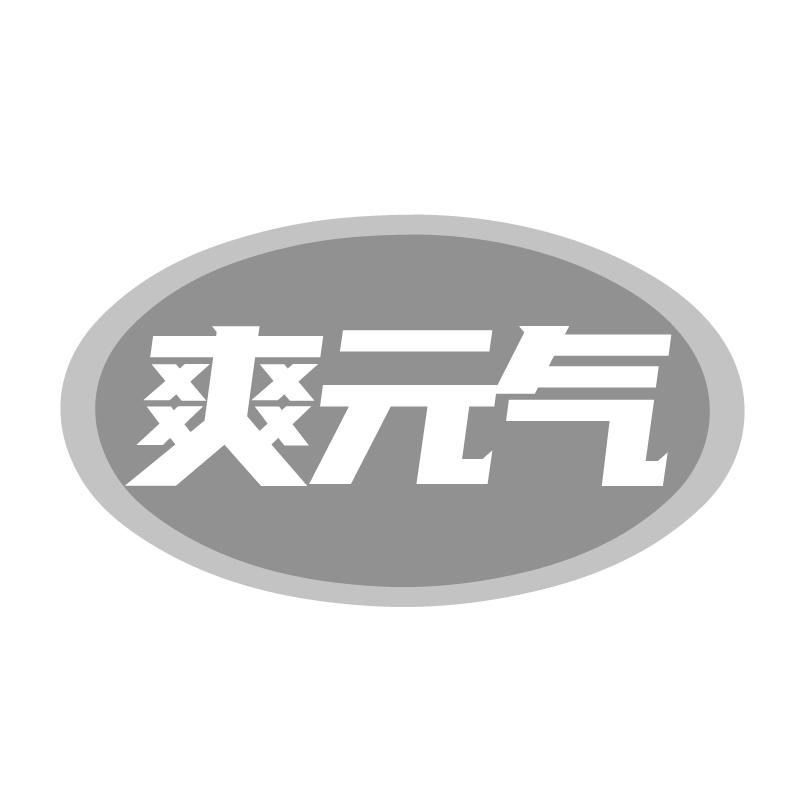 爽元气商标转让