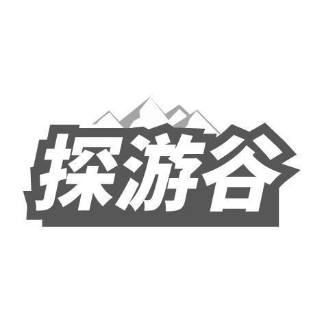 探游谷商标转让
