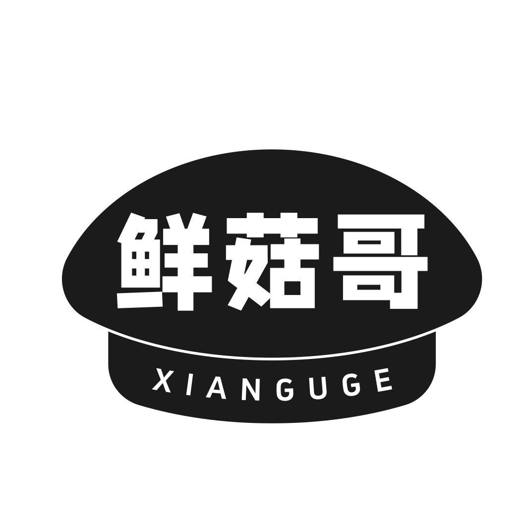 鲜菇哥商标转让