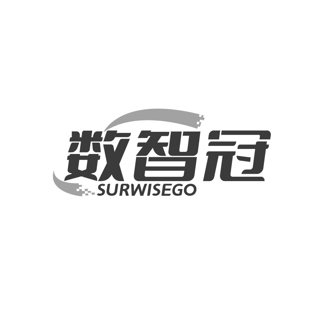 数智冠 SURWISEGO商标转让